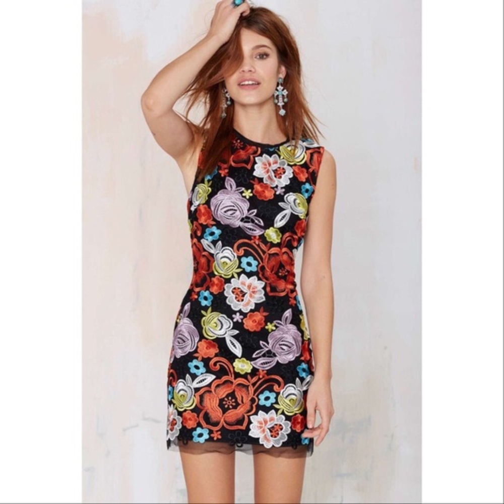 Nasty Gal Rosanna Embroidered Floral Dress